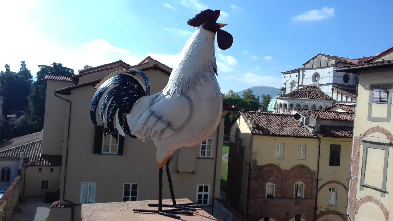 Terrazza Coccode' Spazioso Con Vista Mozzafiato! Лукка Экстерьер фото